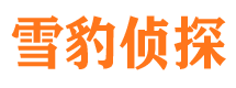 安达市调查公司